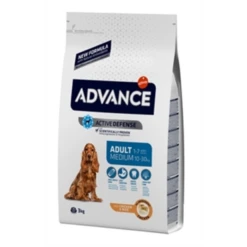 Advance Medium Adult