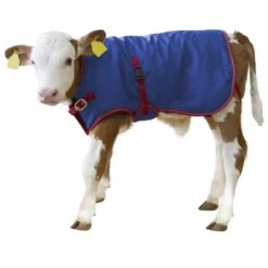 Agrivet Kalverdekje Bodywarmer Thermo+80CM