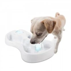 All For Paws Chill Out Ice Track & Thirst Cruncher Ice Balls