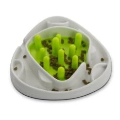 All For Paws Interactive Food Maze