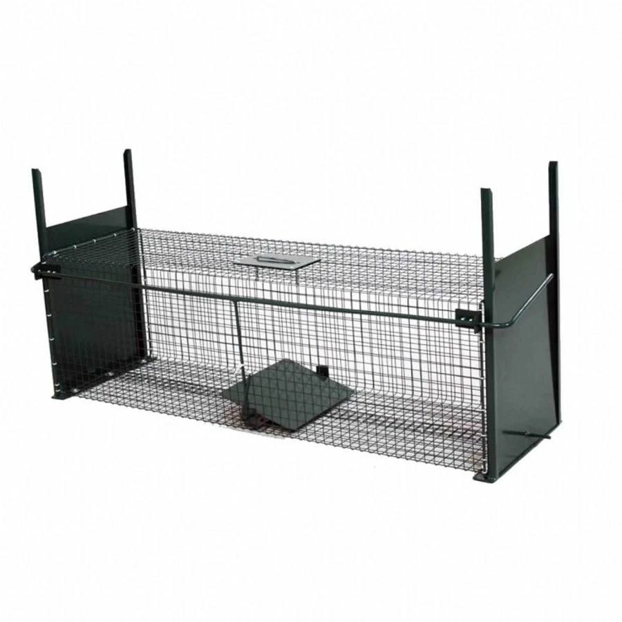 AllesTegenOngedierte.nl Wild Vangkooi 2 AllesTegenOngedierte.nl Wild Vangkooi - Afbeelding 2