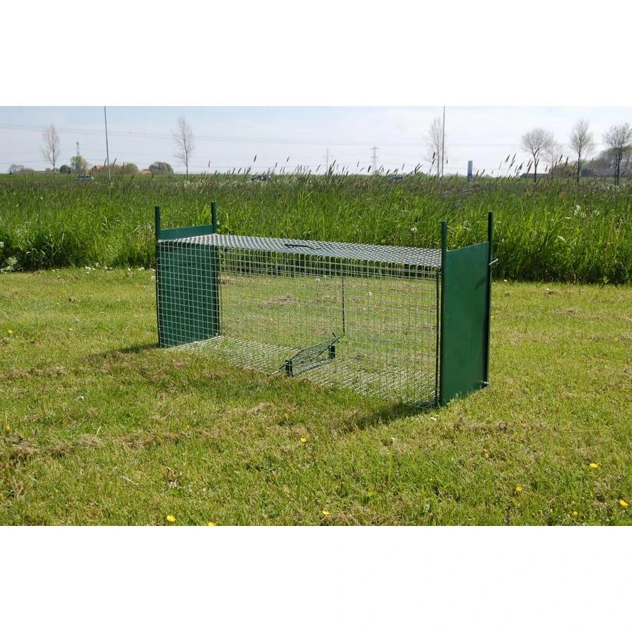 AllesTegenOngedierte.nl Wild Vangkooi 1 AllesTegenOngedierte.nl Wild Vangkooi