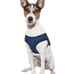 Aqua Coolkeeper Coolkeeper Hondentuig Blauw -Excellent || Trixie Winkel aqua coolkeeper coolkeeper hondentuig blauw 2