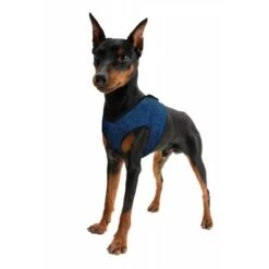 Aqua Coolkeeper Coolkeeper Hondentuig Blauw