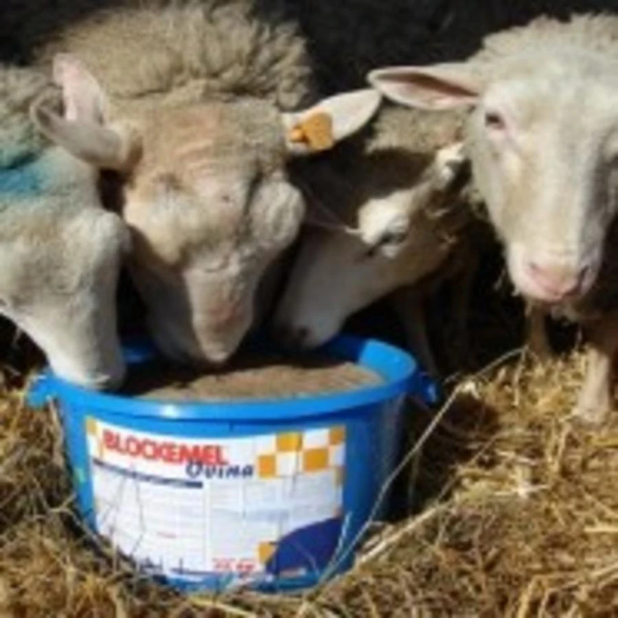 Blockemel Ovina Mineraalemmer 20 Kg 2 Blockemel Ovina Mineraalemmer 20 Kg - Afbeelding 2