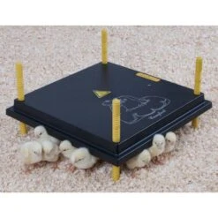 Comfort Warmteplaat 40x40cm Voor Kuikens