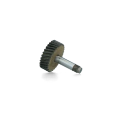 Constanta 32 Tand As