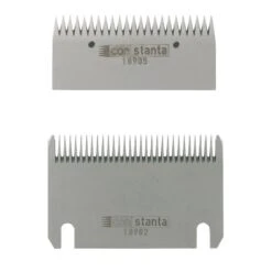 Constanta B+O Paard 23/31