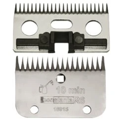 Constanta Rodeo Messenset