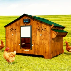 Cucciolotta Kippenhok Polly Farm Evolution -Excellent || Trixie Winkel cucciolotta kippenhok polly farm evolution 2