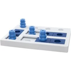 Dog Activity Chess Strategisch Spel