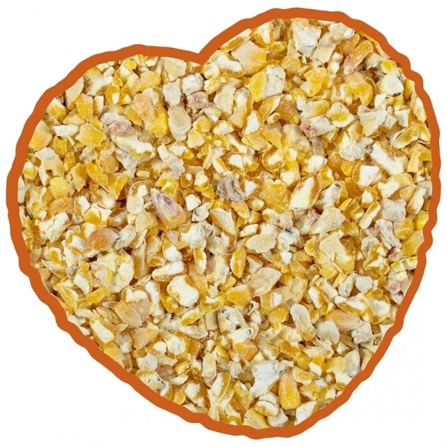 Duvo+ Franse Gebroken Maïs 18 Kg 2 Duvo+ Franse Gebroken Maïs 18 Kg - Afbeelding 2