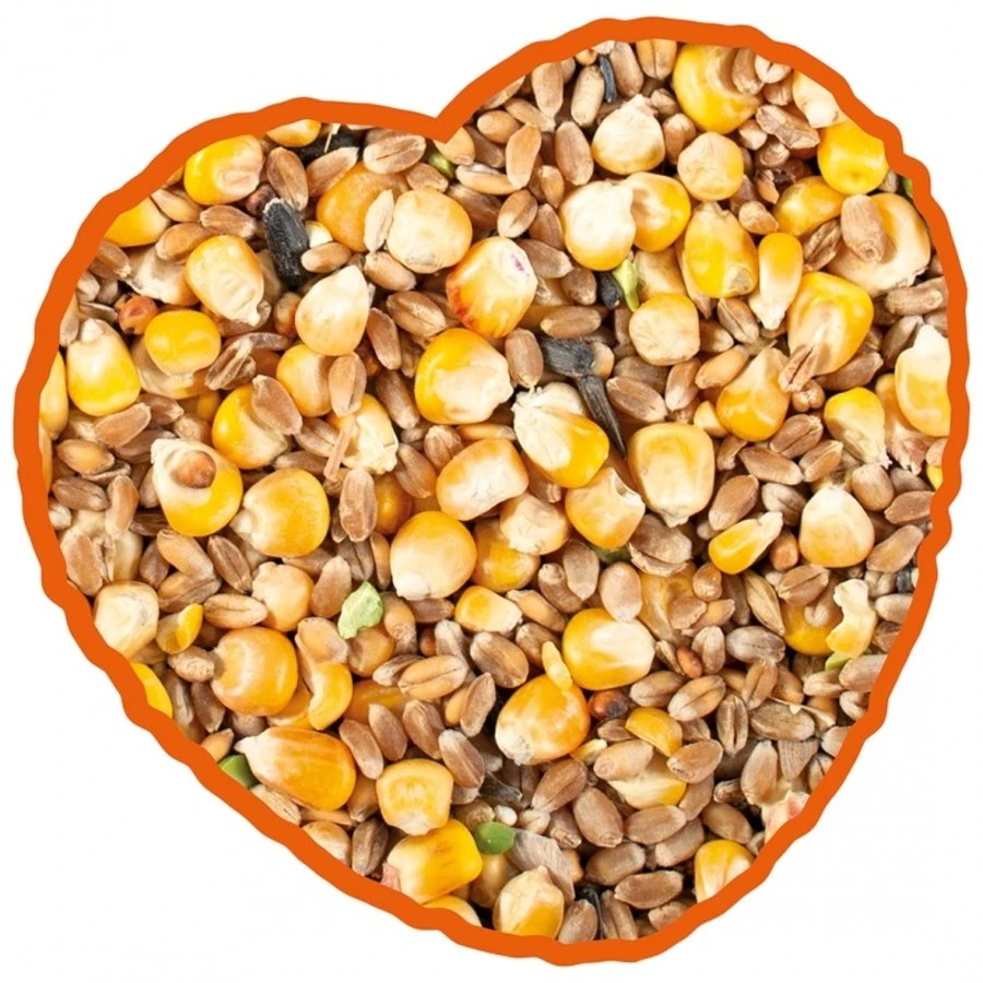 Duvo+ Hennen Mix 20 Kg 2 Duvo+ Hennen Mix 20 Kg - Afbeelding 2