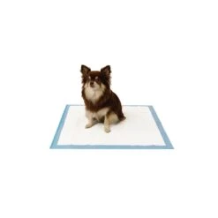 EasyPets Training Pads -Excellent || Trixie Winkel easypets training pads 2