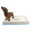 EasyPets Training Pads Houder