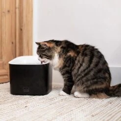 Ebi Manoa Drinkfontein | 3 Liter Inhoud 11 Ebi Manoa Drinkfontein | 3 Liter Inhoud -Excellent || Trixie Winkel ebi manoa drinkfontein 3 liter inhoud 3