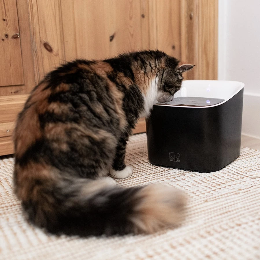 Ebi Manoa Drinkfontein | 3 Liter Inhoud 5 Ebi Manoa Drinkfontein | 3 Liter Inhoud - Afbeelding 5