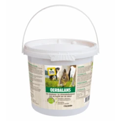 ECOstyle OerBalans Poeder 4 KG