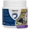 Excellent Calfperien Pil Voor Kalveren