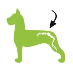 Excellent Dog Flex -Excellent || Trixie Winkel excellent dog flex 2