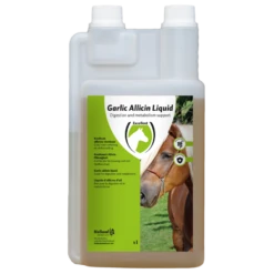 Excellent Garlic Allicin Vloeibaar EU 1 Liter