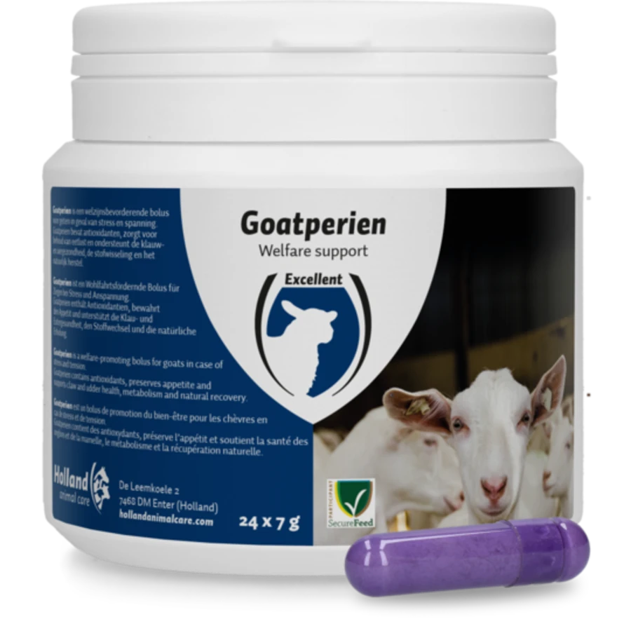Excellent Goatperien Bolus Voor Geiten 1 Excellent Goatperien Bolus Voor Geiten