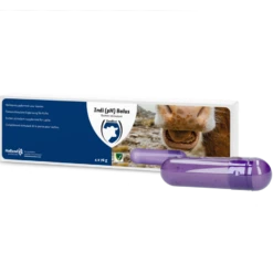 Excellent Indi Bolus 4 Stuks