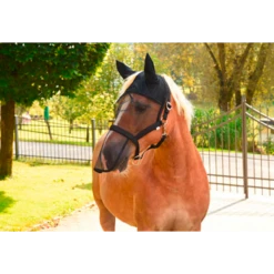 Excellent Vliegenhalster/masker