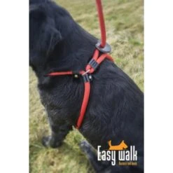 H.A.C. Easy Walk Mini -Excellent || Trixie Winkel hac easy walk mini 3