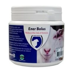 H.A.C. Ener Bolus Schaap & Geit