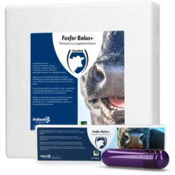H.A.C. Fosfor Bolus+