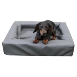 H.A.C. Lounge Dogbed -Excellent || Trixie Winkel hac lounge dogbed 2