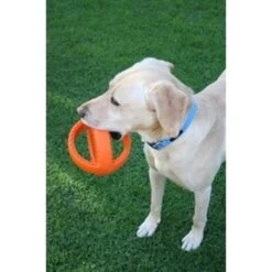 Junai.nl Grubber Voetbal -Excellent || Trixie Winkel junainl grubber voetbal 3