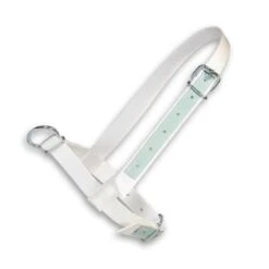 Junai.nl Halster Wit Show Met Leer 40mm -Excellent || Trixie Winkel junainl halster wit show met leer 40mm 2