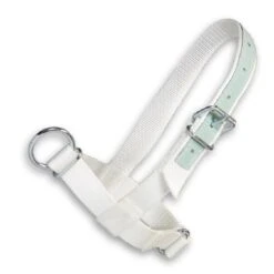 Junai.nl Halster Wit Show Met Leer 40mm