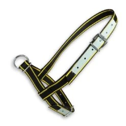 Junai.nl Halster Zwart/geel Show Met Leer 40mm -Excellent || Trixie Winkel junainl halster zwart geel show met leer 40mm 2