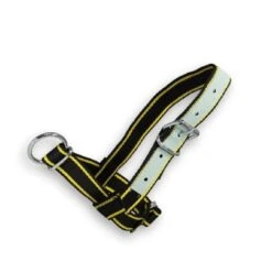 Junai.nl Halster Zwart/geel Show Met Leer 40mm