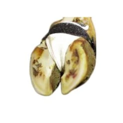 Junai.nl Koe Slipper 10 Stuks