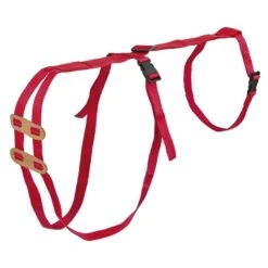 Junai.nl Prolaps Tuigje Schaap