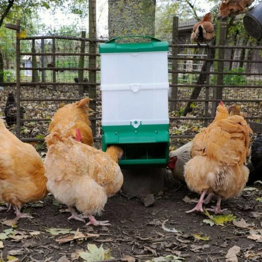 Junai.nl Voerautomaat Wise 2 Junai.nl Voerautomaat Wise - Afbeelding 2