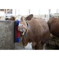 Kerbl Borstel Voor Paard, Rund, Geit -Excellent || Trixie Winkel kerbl borstel voor paard rund geit 4