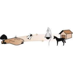 Kerbl Dazenval TaonX Compleet -Excellent || Trixie Winkel kerbl dazenval taonx compleet 2