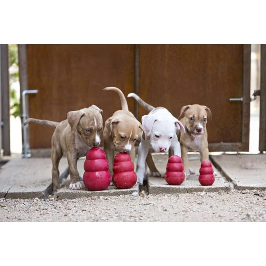 Kong Classic 2 Kong Classic - Afbeelding 2