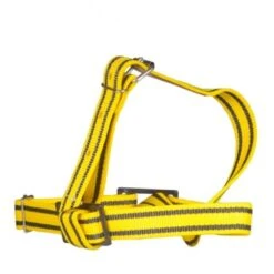 Louter Keuringshalster