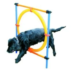 Pawise Trainingshoepel