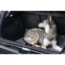 Royal Dry Honden- Deurmat -Excellent || Trixie Winkel royal dry honden deurmat 2