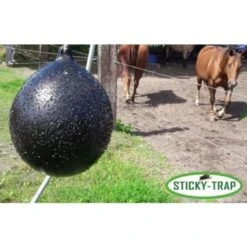 Sticky-Trap Dazenvallen Lijm -Excellent || Trixie Winkel sticky trap dazenvallen lijm 4
