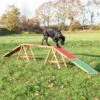 Trixie Fun Agility Loop
