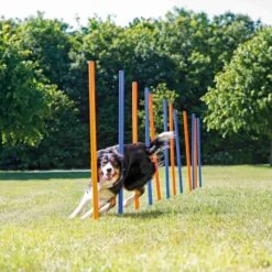 Trixie Fun Agility Slalom