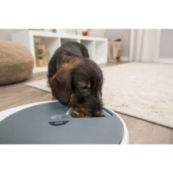 Trixie Voederautomaat TX4+1 | Voor Honden En Katten -Excellent || Trixie Winkel trixie voederautomaat tx41 voor honden en katten 3